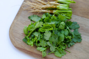 Fresh organic coriander, leaves with roots. Vegetables and herbs