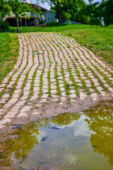 Serene Garden Path Leading to Suburban Home Eye-Level View