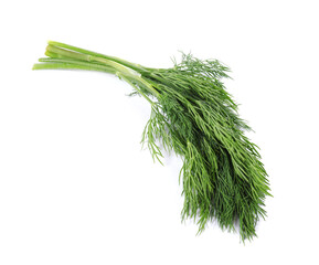 Sprigs of fresh green dill isolated on white