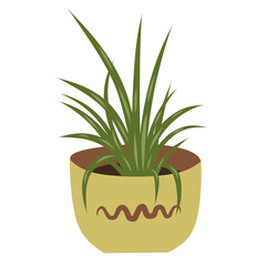 Potted plant