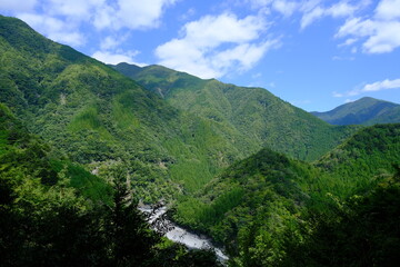 Obraz premium mountain river in the mountains