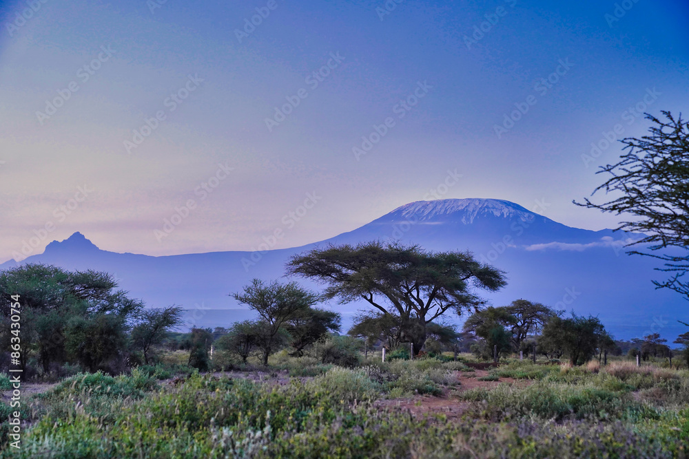 Wall mural Tranquil view of Mount Kilimanjaro at dawn with rose and blue tinted skies at early morning  in Amboseli National Park, Kenya