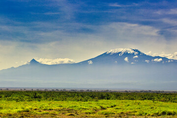 Obraz premium Mount Kilimanjaro Kibo and Mawenzie peaks present postcard perfect views over the vast Amboseli national park savanna in a classical African scene in Kenya