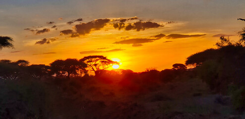 Golden sunset over the acacia woods and grass plains of the scenic Amboseli National park, Kenya