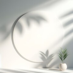 A minimalist scene with a round mirror on a white wall reflects light and shadow. A small potted plant stands to the right, partially in sunlight.