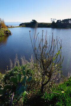 Coastal lagoon in Goleta, southern California in winter