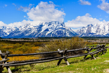 Fototapeta premium Grand Teton in the Clouds