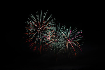 Fireworks in the night sky