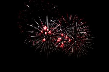 Fireworks in the night sky
