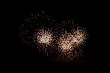 Fireworks in the night sky