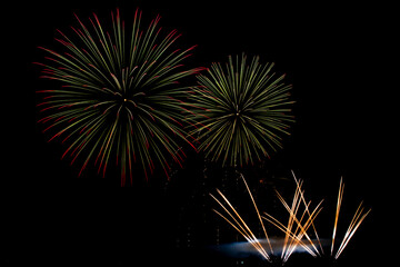 Fireworks in the night sky