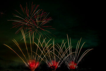 Fireworks in the night sky