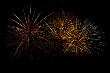 Fireworks in the night sky