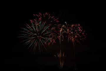 Fireworks in the night sky