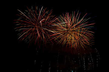 Fireworks in the night sky