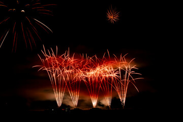 Fireworks in the night sky
