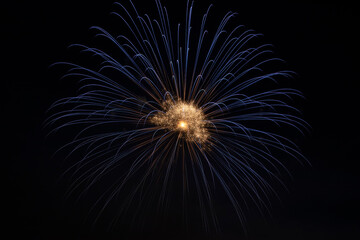 Fireworks in the night sky