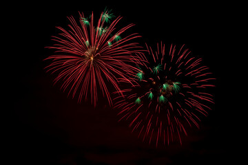 Fireworks in the night sky