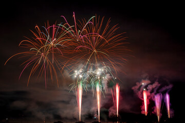 Fireworks in the night sky