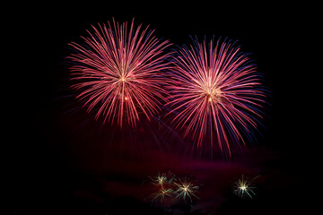 Fireworks in the night sky