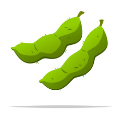Edamame or green soybean pods vector isolated illustration