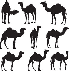 Naklejka premium A Set of Silhouette Camel Vector Illustration. Black Camel Vector Collection.