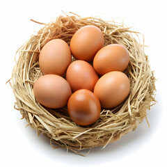 Eggs in nest on white background