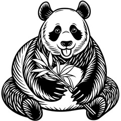 panda bear