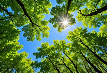 Obraz premium vibrant green leaves of a forest canopy, with sunlight streaming through and casting dappled light against a backdrop of clear blue sky.