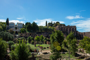 roman forum palatine hill with trees sun