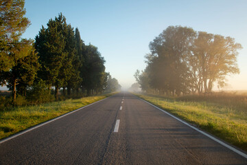 Fototapeta premium La Pampa road