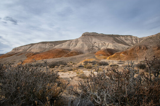 Patagonian stepe 2