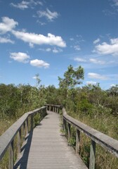 Una perfecta combinacion del agua con un verdor impresionante eso son los Everglades.