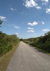Una perfecta combinacion del agua con un verdor impresionante eso son los Everglades.