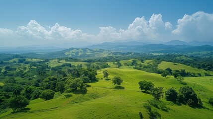 Fototapeta premium Rural View with Forest Restoration Activities 