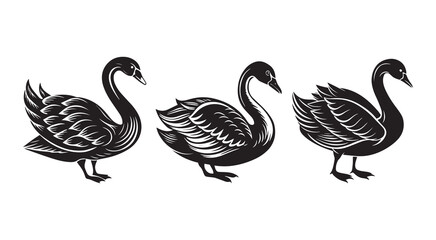 Fototapeta premium Vintage Swan Bird Silhouette