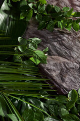 Lush Tropical Leaf Arrangement on Natural Rock Surface