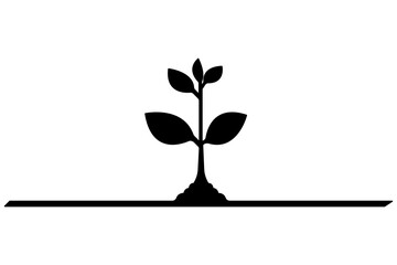 Plant growth process silhouette vector art drawing with outline illustration, Life cycle of silhouette plant growth stages