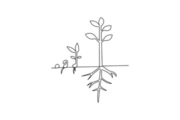 Plant growth process single line art, continuous one line drawing of  Isolated outline vector art