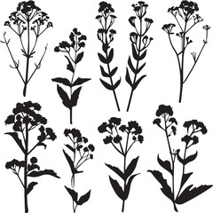 Plants Abstract Silhouette Vector Graphics Pack