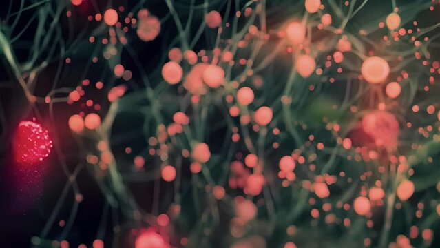 An intricate network of TLRs represented by tiny red dots working together to detect and respond to pathogens in the body.