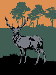 Silhouette of deer, doe, fawn standing on meadow in forest vector background. Trees, grass, magical misty landscape illustration for background, banner, poster and cover.