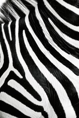 Seamless zebra skin 