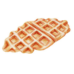 Croissant waffle hand drawn watercolor