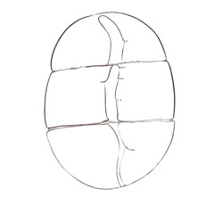 Coffee Bean line art