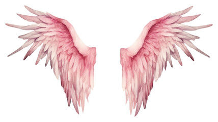 Fototapeta premium PNG Angel wings bird white background creativity.