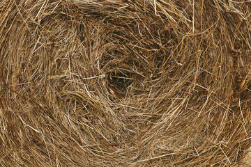 frame filling close up of a hay bale center