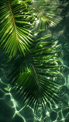Transparent water background with ripples, sunlight reflections, and beautiful palm leaves, depicting a summer theme