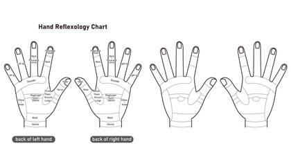 手の甲の反射区・手のつぼ　図解イラストセット（モノクロ）