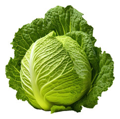 Obraz premium PNG Cabbage food vegetable plant.